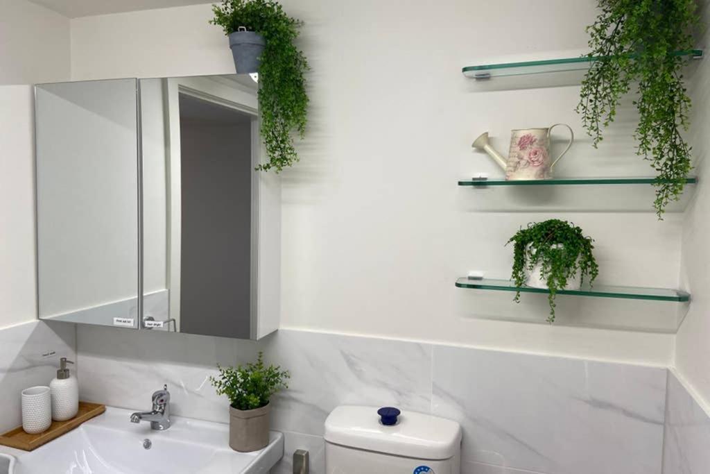 10A Brunswick Living Studio Close To Apt And Cbd Free Wifi Tram At Doorstep Мелбърн Екстериор снимка